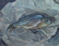 "Рыба"<br />
(1986; картон, масло; 40х60см)